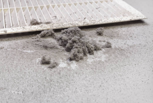 Best Duct Cleaning for Offices  in Delcambre, LA