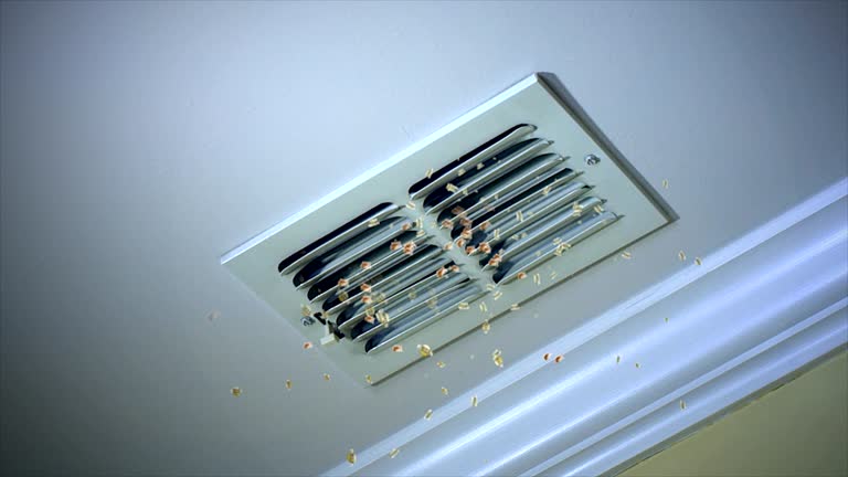 Best Air Duct Cleaning Cost  in Delcambre, LA