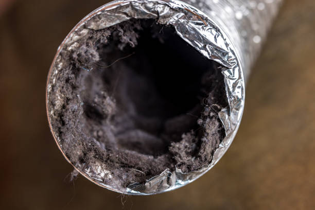 Best Emergency Air Duct Cleaning  in Delcambre, LA